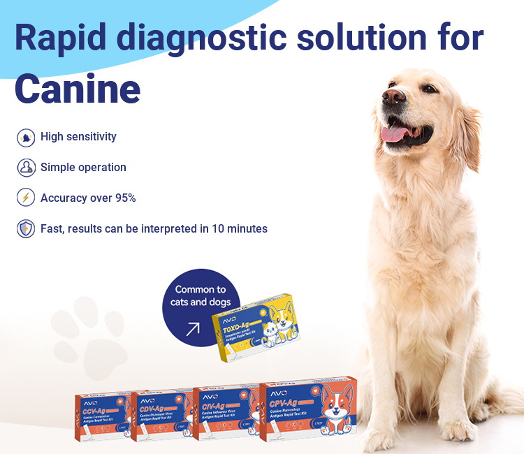 rapid antigen test kit manufacturers, diagnostic kit manufacturers